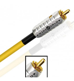 Wireworld CRV1.0M